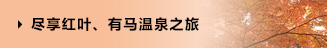 盡享紅葉、有馬溫泉之旅