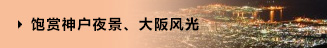 飽賞神戶夜景、大阪風(fēng)光